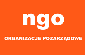 ngo organizacje pozarządowe