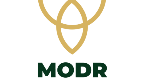 logo modr