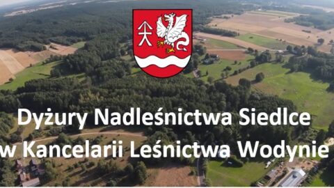 Dyżury nadleśnictwa