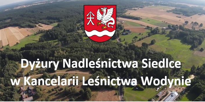 Dyżury nadleśnictwa